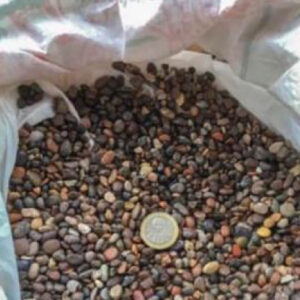 piedra serena tamaño arroz ADNnativo