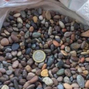 piedra serena tamaño maíz ADNnativo